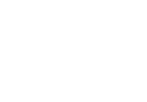 SOLAIR logo